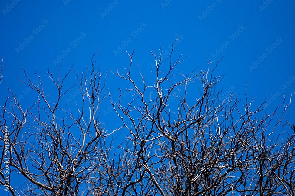 Obraz premium paisaje natural