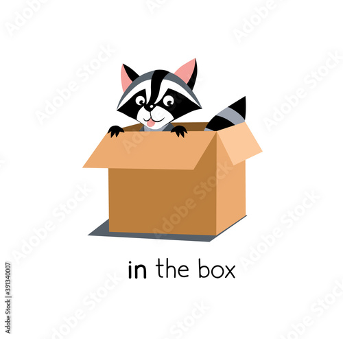 Preposition of place. Raccoon in the box