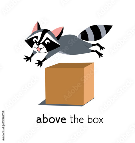 Preposition of place. Raccoon above the box