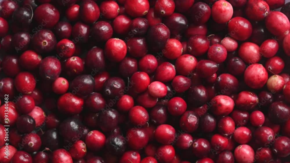 Top view of Red fresh cranberries rotating Top view of Red fresh cranberries rotating