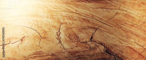 backgrounds and textures concept - wooden texture or background photo