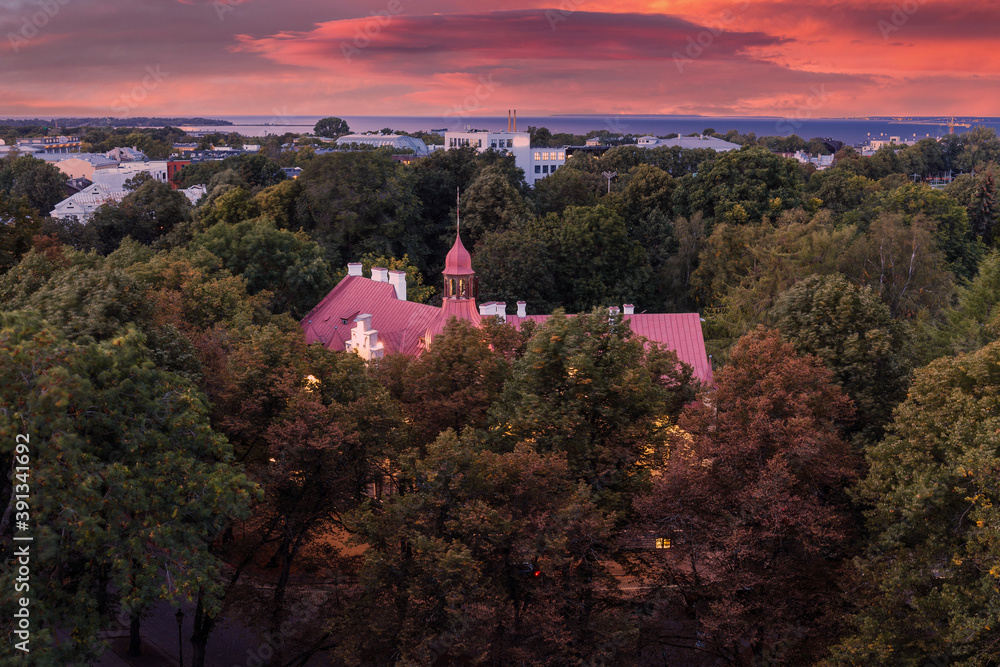 Fototapeta premium Old building surrounded by green park. Evening top view of night Tallinn, Estonia. Dramatic sunset sky