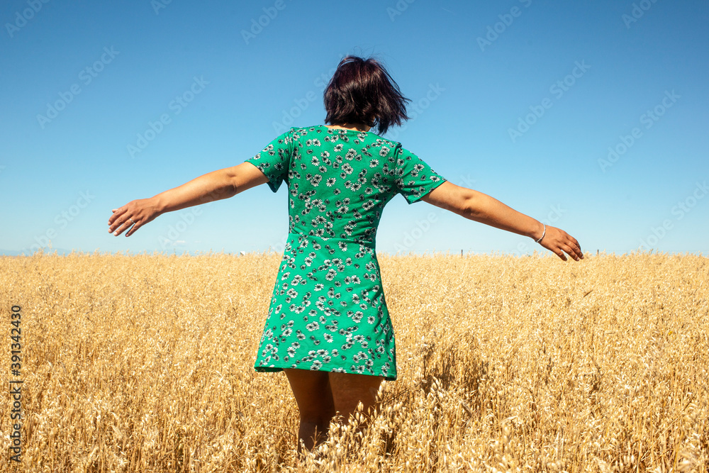 Young woman walking in a yellow wheat field. Woman walking in the wheat field with a green dress against a deep blue sky. Young woman walking in a yellow wheat field. Woman walking in the wheat field with a green dress against a deep blue sky.