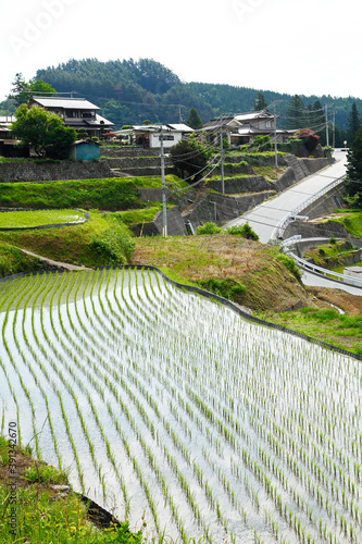 平林の棚田（富士川町）