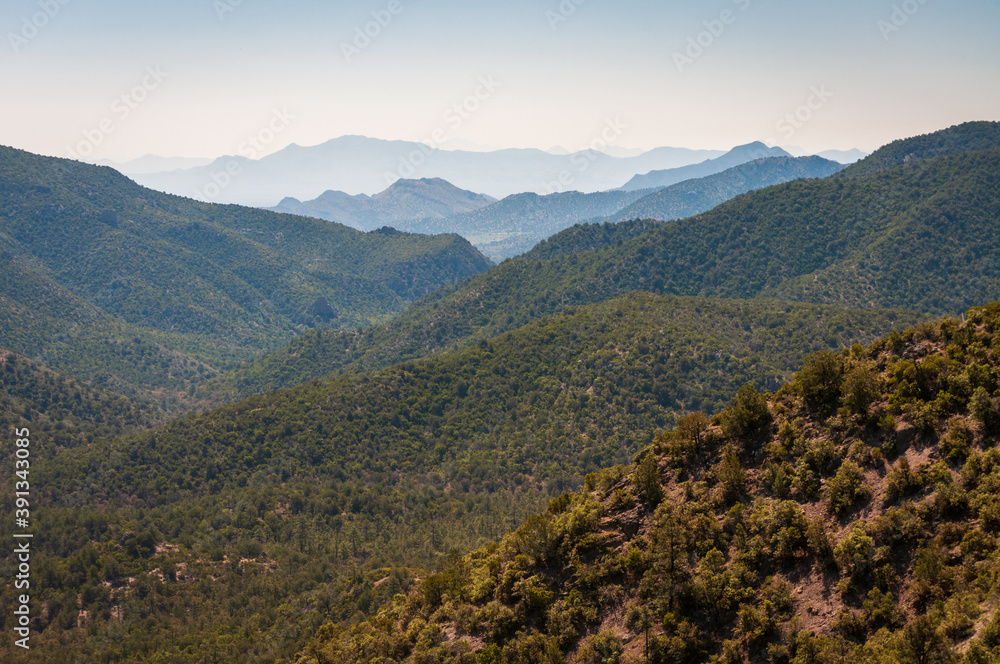 View of the Forests at Chiricahua National Monument
