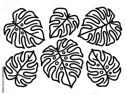 Set of tropical leaves. monstera leaf line art illustration. Symmetrical composition. botanical line art.
