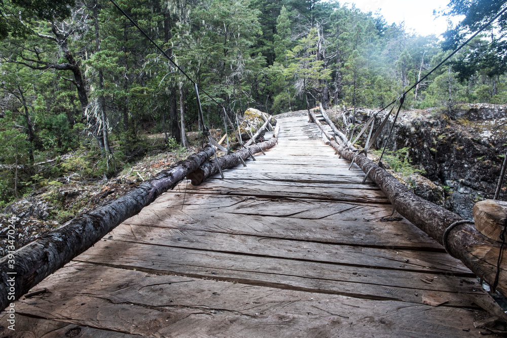 Obraz premium puente de montaña, camino de madera