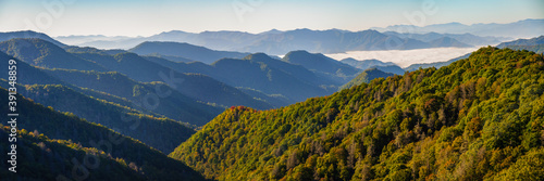 Great Smoky Mountains National Park © Zack Frank