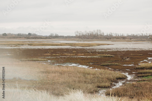 View of saltmash on overcast winter day photo