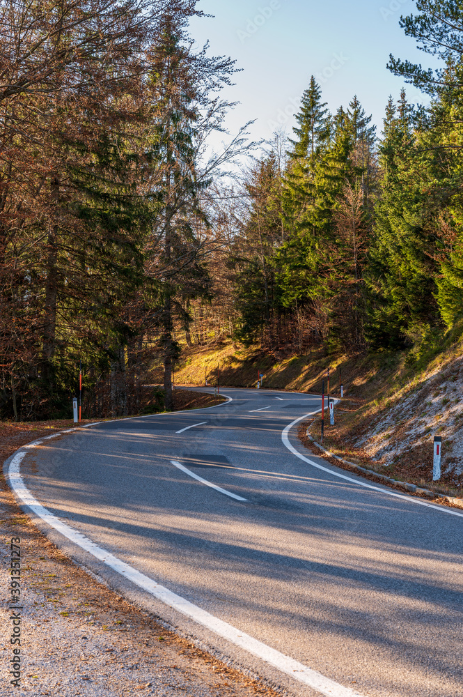 Fototapeta premium A winding road through the forest in autumn on a bright sunny day