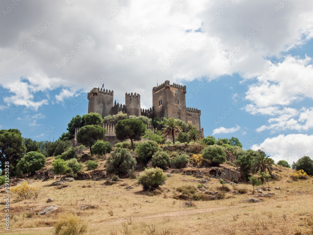 panoramic  view at castle of Almodovar del Rio, Cordoba, Andalusia. Spain