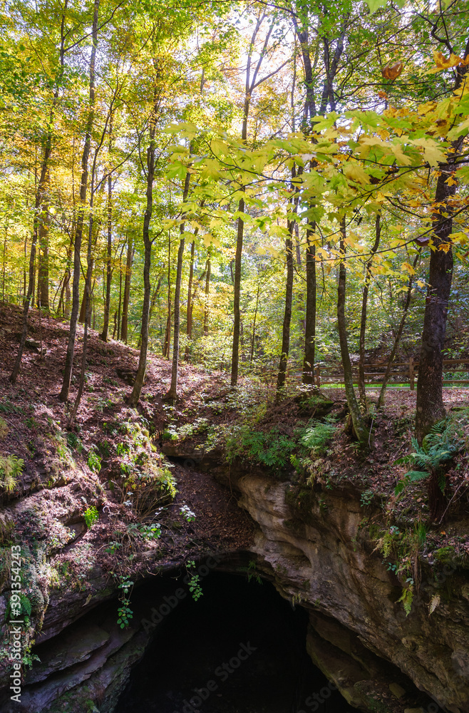 Obraz premium Mammoth Cave National Park