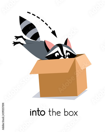 Preposition of movement. Raccoon jumps into the box