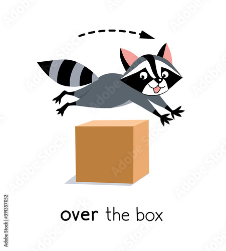 Preposition of movement. Raccoon jumps over the box