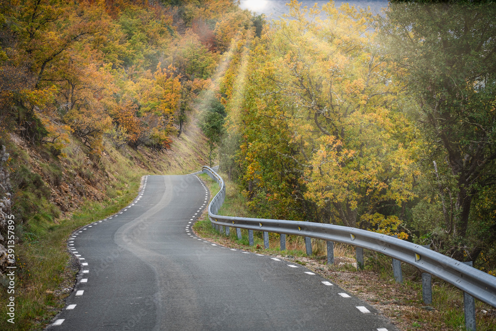 road crossing an oak grove in autumn, Las Merindades, Burgos, Spain