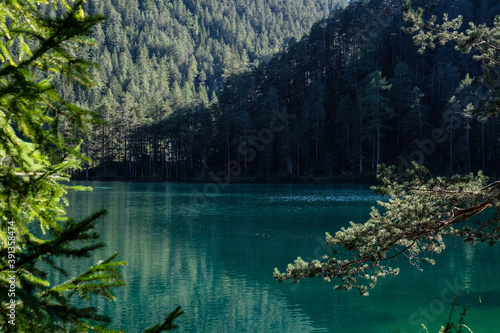 lake view in the alphs in austria at fernsteinsee