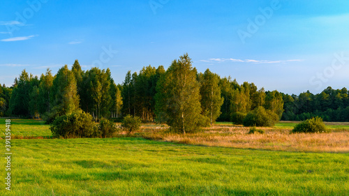 kępa drzew na zielonej łące © TOP67