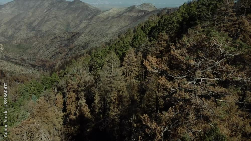 4k Drone right tilt beautiful rocks, stones & bushes 4k Drone right tilt beautiful rocks, stones & bushes