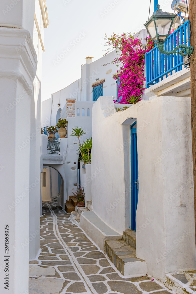 Fototapeta premium Traditional Cycladitic alley with narrow street, whitewashed houses and a blooming bougainvillea in Marpissa Paros island, Greece.