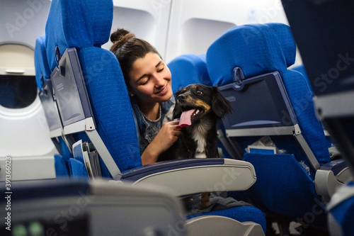 Girl With Her Dog On An Aircraft.