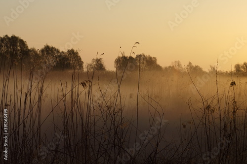 Wallpaper Mural O wschodzie  Torontodigital.ca