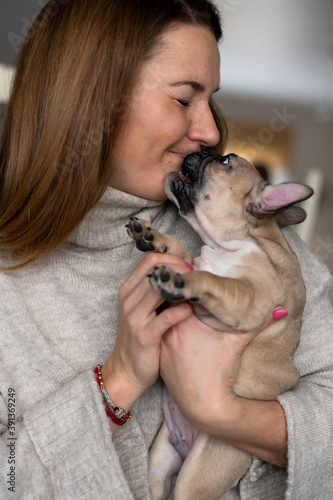 Cute little french bulldog puppy photo