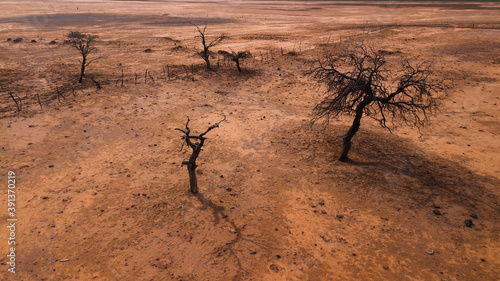 death valley - drylands with dead trees