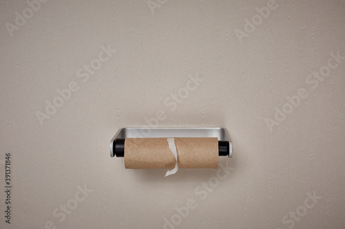 Empty toilet roll photo