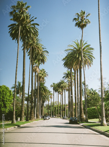 Streets of Beverly Hills
