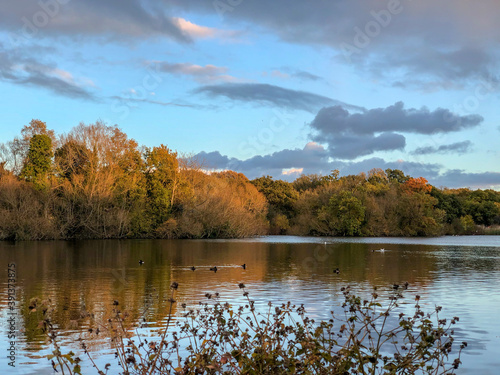 Epping Forest Connaught water Autumn landscape view with reflection 
