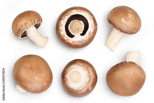 Royal Brown champignon with leaf parsley isolated on white background with clipping path. Top view. Flat lay. Set or collection