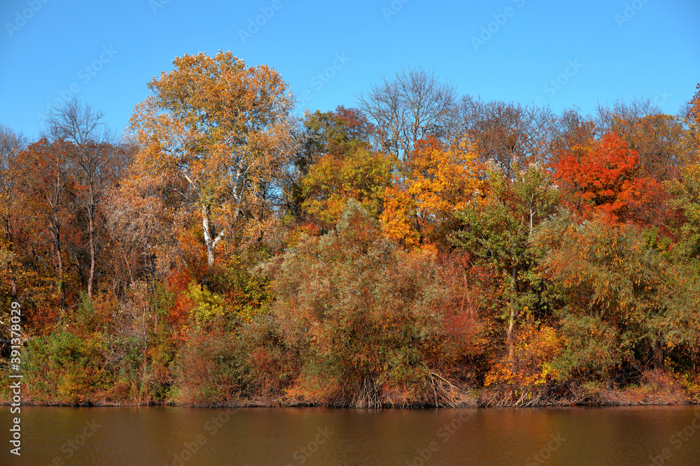 Beautiful autumn forest by the lake, against the background of a clear blue sky without clouds