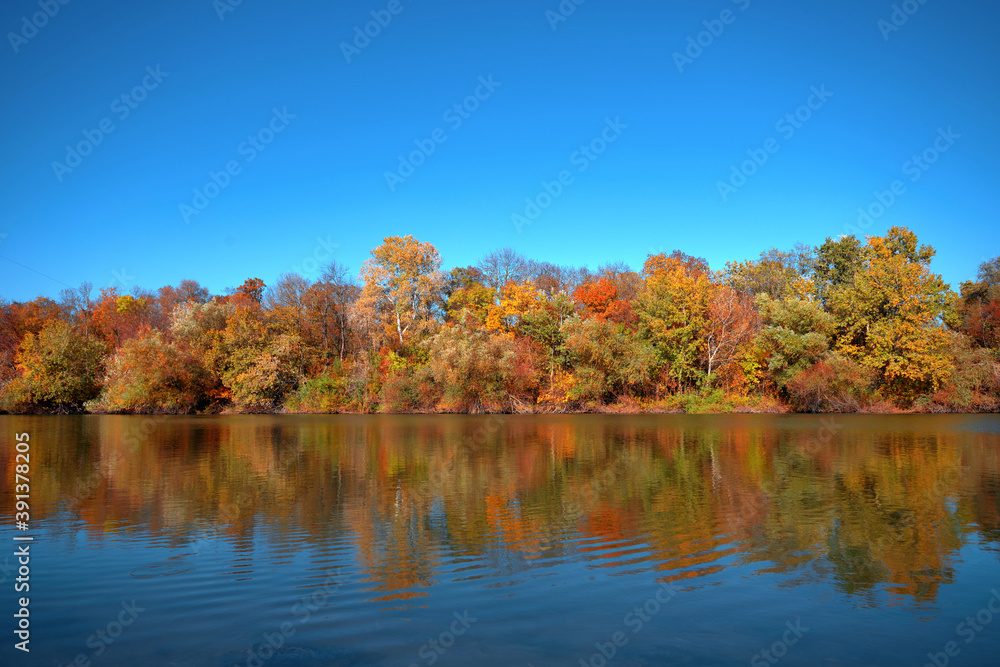 Reflection of a beautiful autumn forest in the river, against the background of a clear blue sky without clouds Reflection of a beautiful autumn forest in the river, against the background of a clear blue sky without clouds