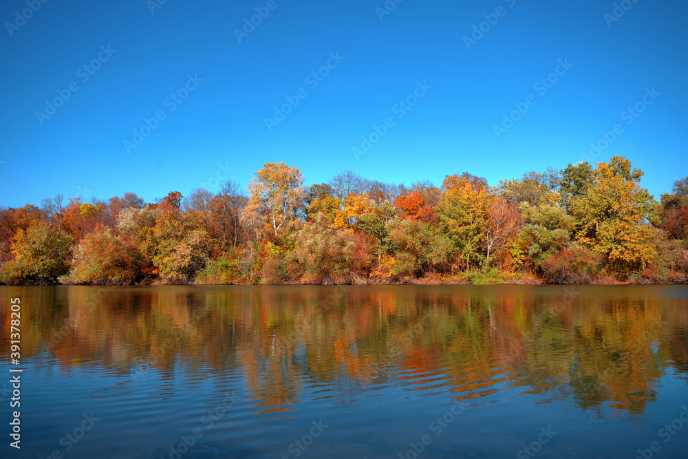 Reflection of a beautiful autumn forest in the river, against the background of a clear blue sky without clouds