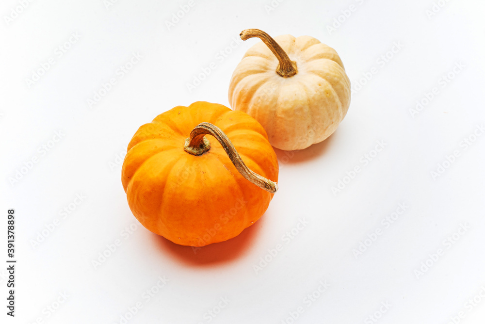 Obraz premium small decorative pumpkins on the white background