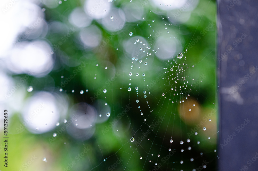 Abstract spider web in close-up covered in morning dew droplets.