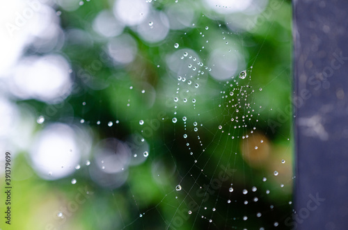 Abstract spider web in close-up covered in morning dew droplets.