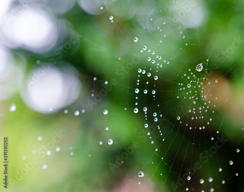 Abstract spider web in close-up covered in morning dew droplets.