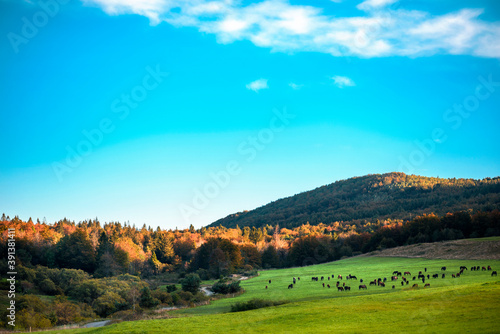 autumn in the mountains