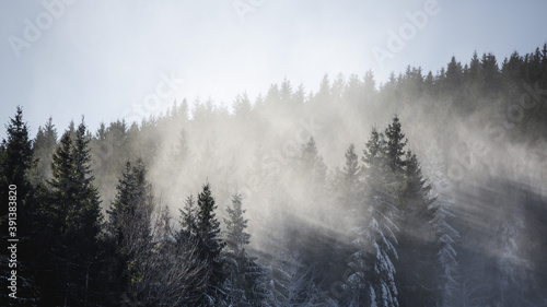 misty morning mist © Oleksii