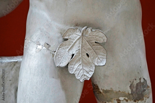 Obraz na płótnie Fig leaf covering the genitals of a male statue, Rio, Brazil w salonie