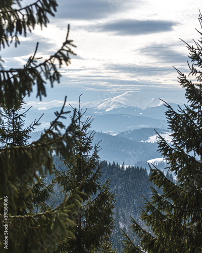 snow covered mountains