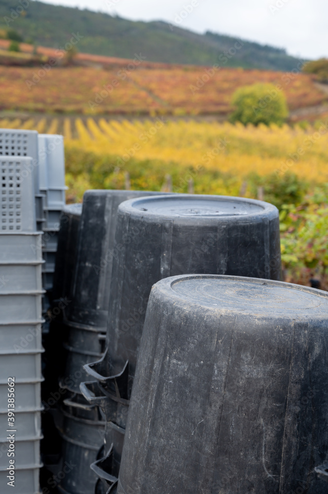 Winemaking in oldest wine region in world Douro valley in Portugal, plastic buckets for harvesting of wine grapes, production of red, white and port wine. Winemaking in oldest wine region in world Douro valley in Portugal, plastic buckets for harvesting of wine grapes, production of red, white and port wine.