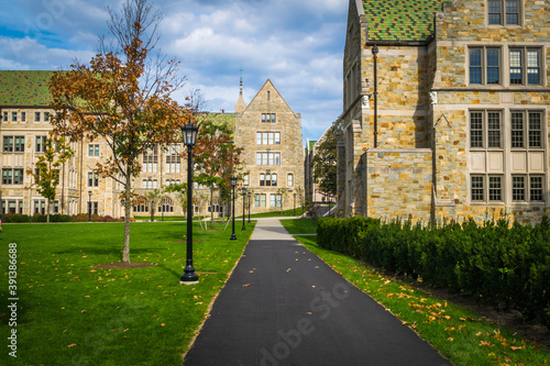 Fototapet Uniform buildings on a college campus