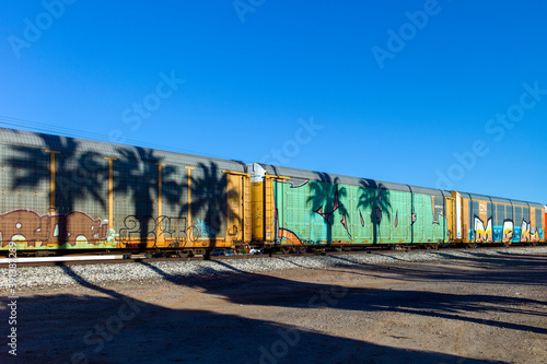 Shadows of palm trees cast on train cars in late afternoon light photo