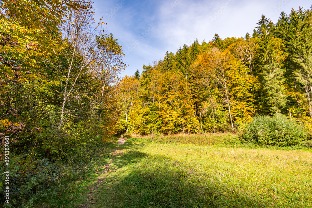 Fantastic autumn hike along the Aachtobel to the Hohenbodman observation tower Fantastic autumn hike along the Aachtobel to the Hohenbodman observation tower