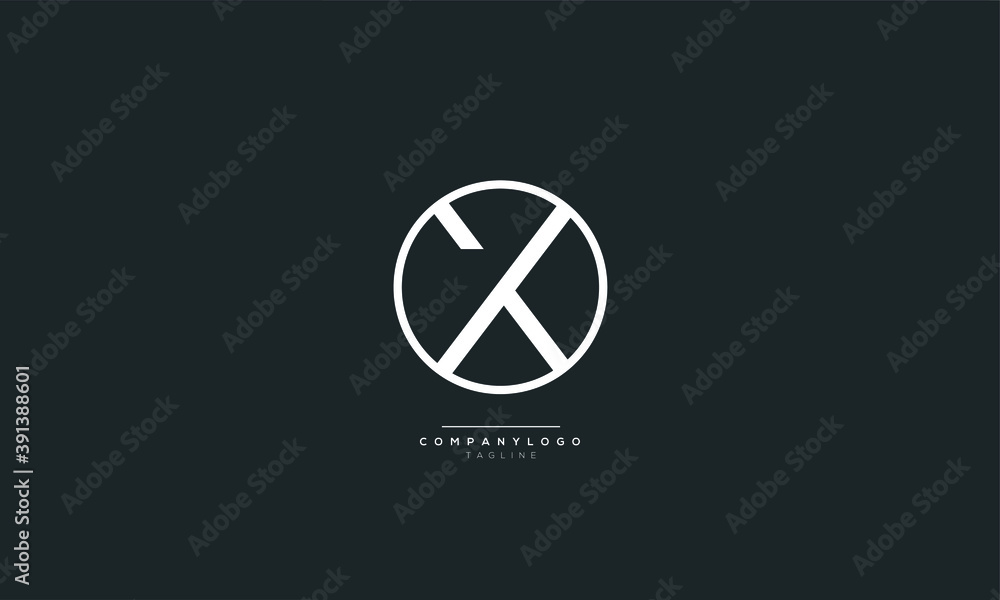 Letter X Business Logo Design Alphabet Icon Vector Monogram Letter X Business Logo Design Alphabet Icon Vector Monogram