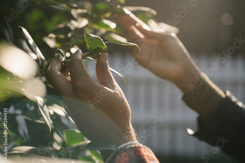 Black hands exploring nature and plants outdoors