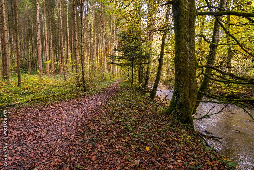 Fantastic autumn hike along the Aachtobel to the Hohenbodman observation tower Fantastic autumn hike along the Aachtobel to the Hohenbodman observation tower