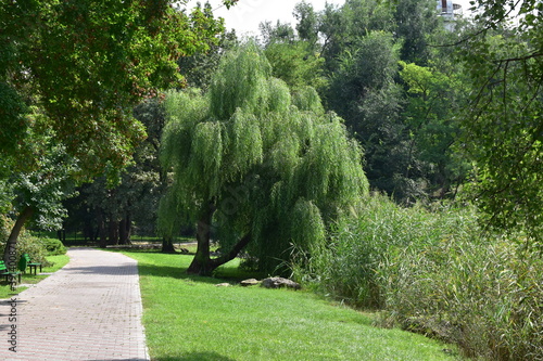 View of a park on a sunny summer day, Botanical Garden, Chisinau, Moldova